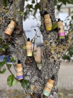 Aromatherapie &amp; Raumdüfte